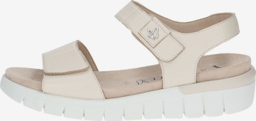 CAPRICE Sandalen met riem in Beige