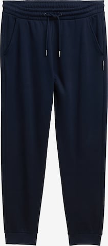 mėlyna TOM TAILOR DENIM Siaurėjantis Kelnės: priekis