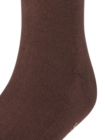 FALKE Socks 'Family' in Brown