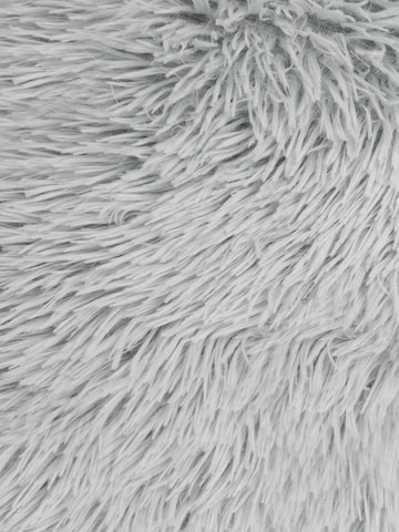 Accessoires pour animaux 'Tornio' Aspero en gris