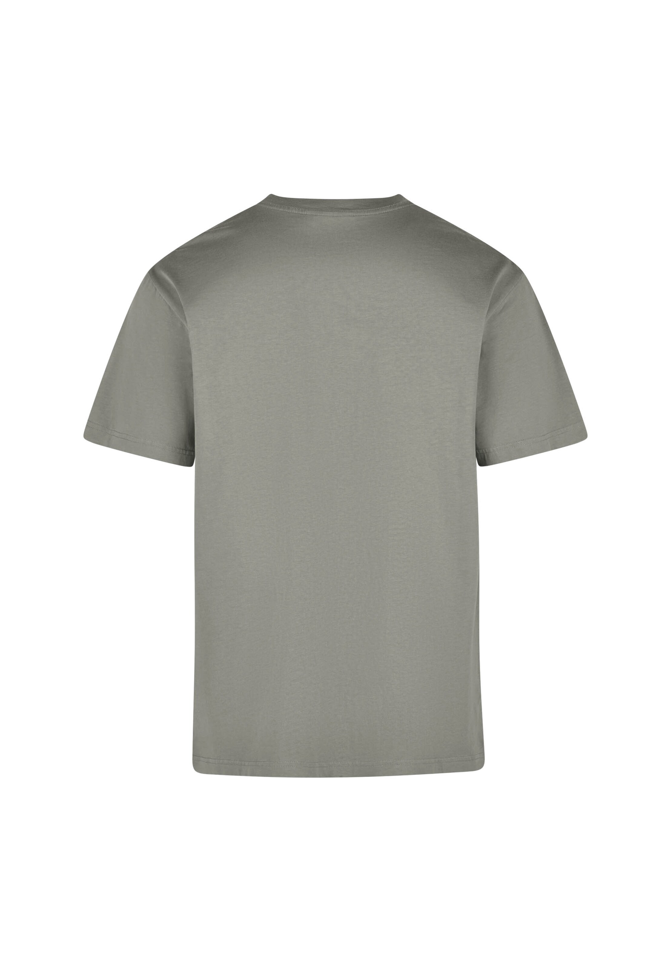 T-Shirt 'Forgotten Classic Tee' Cleptomanicx en gris