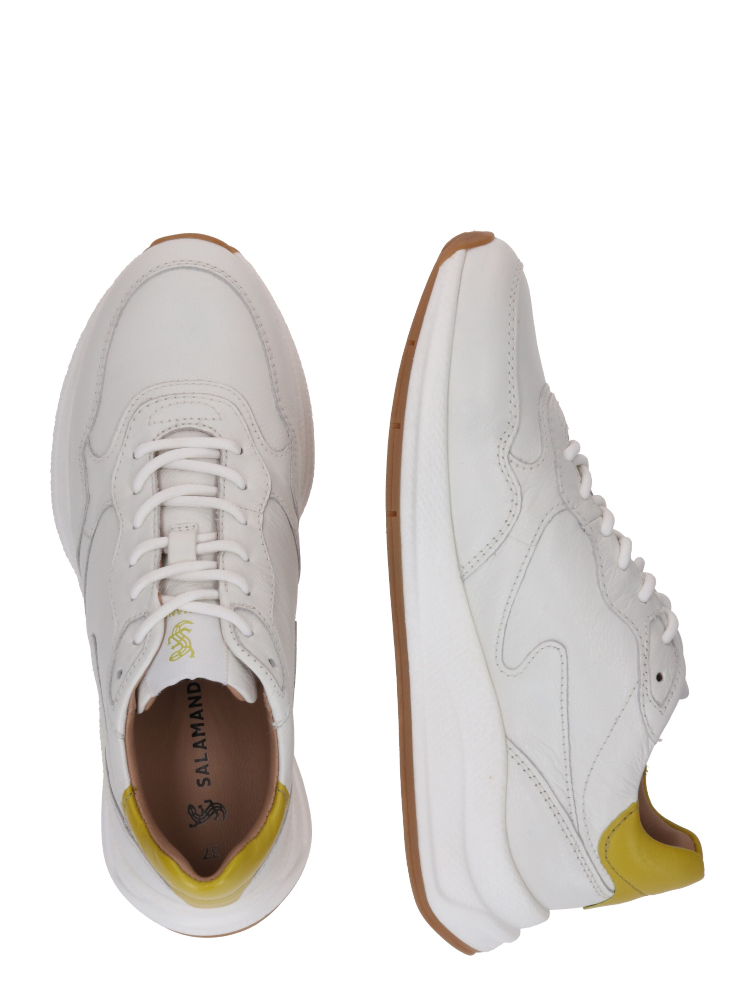 Sneaker bassa di SALAMANDER in bianco