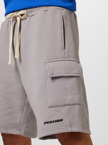regular Pantaloni cargo di Pegador in grigio