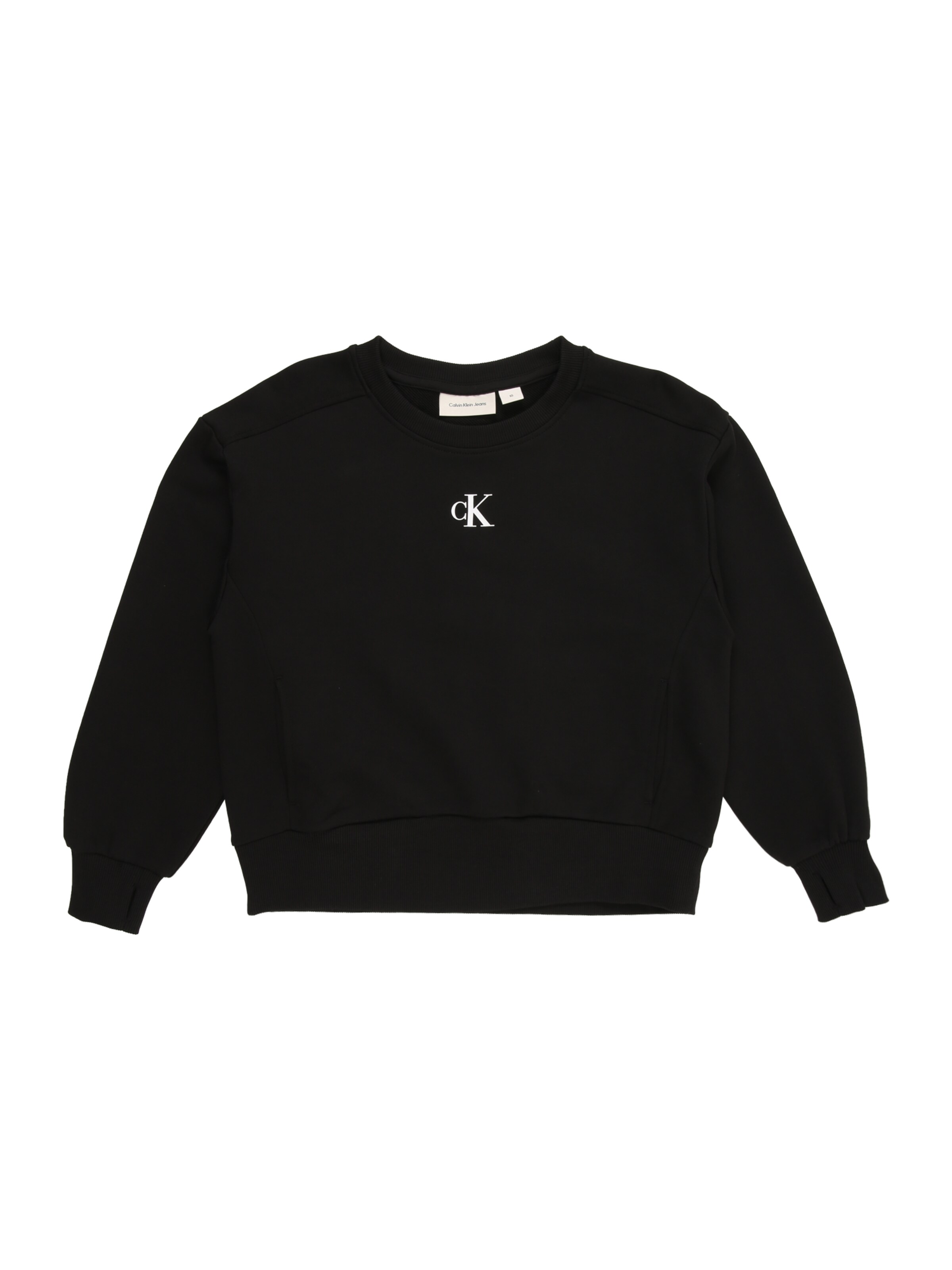 Calvin Klein Jeans - Sudadera en negro: frente