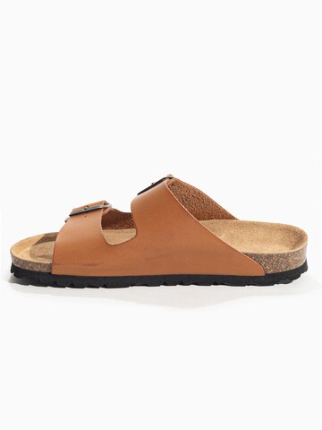 Bayton Mules 'Tracy' in Brown