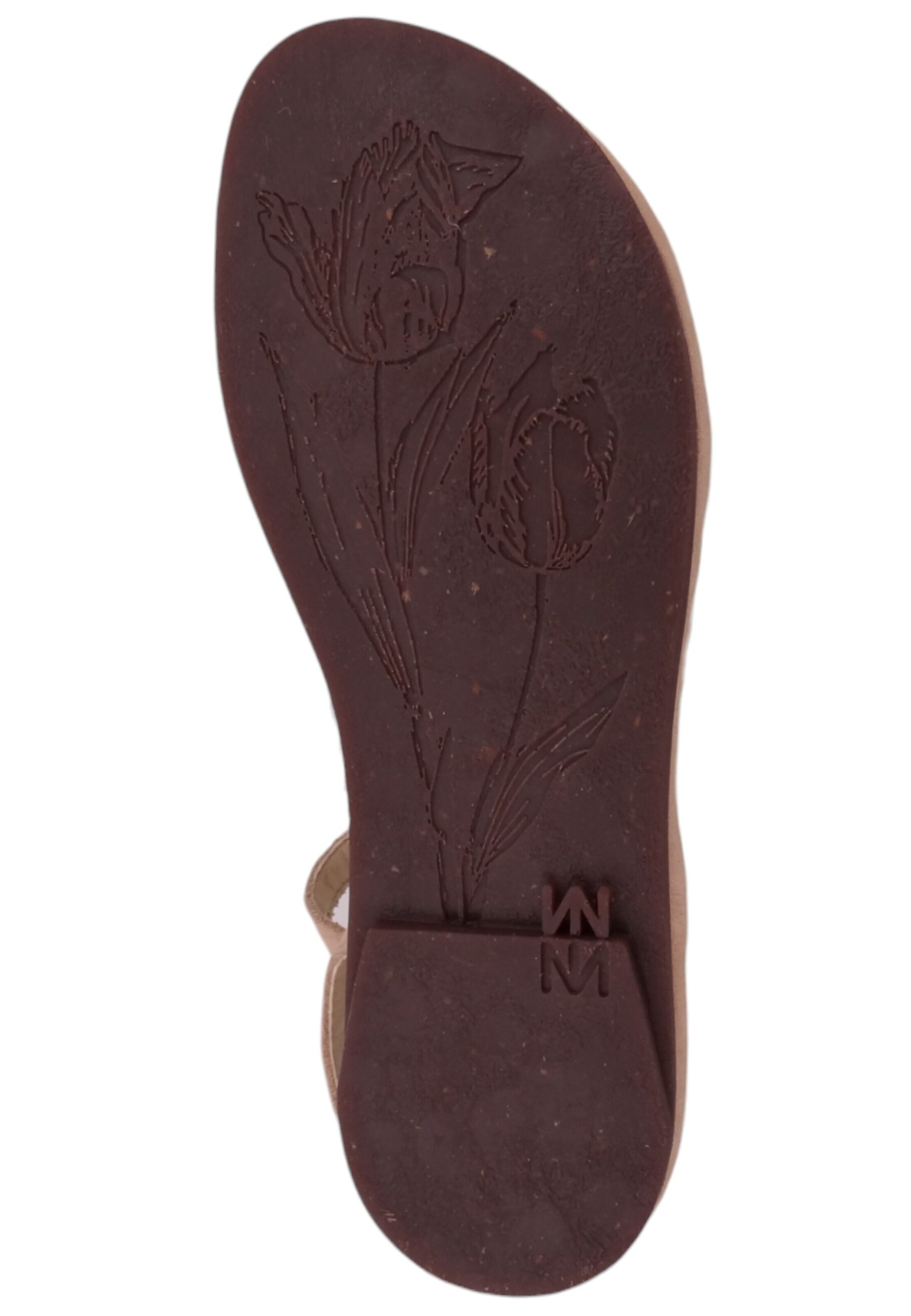 EL NATURALISTA Sandal in Beige