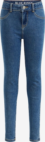 WE Fashion Skinny Jeans in Blauw: voorkant