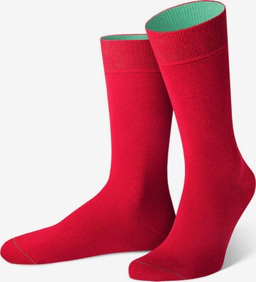 Von Jungfeld Socks in Mixed colors
