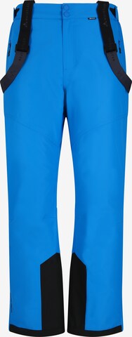 Whistler Sports trousers 'Drizzle' in Blue: front