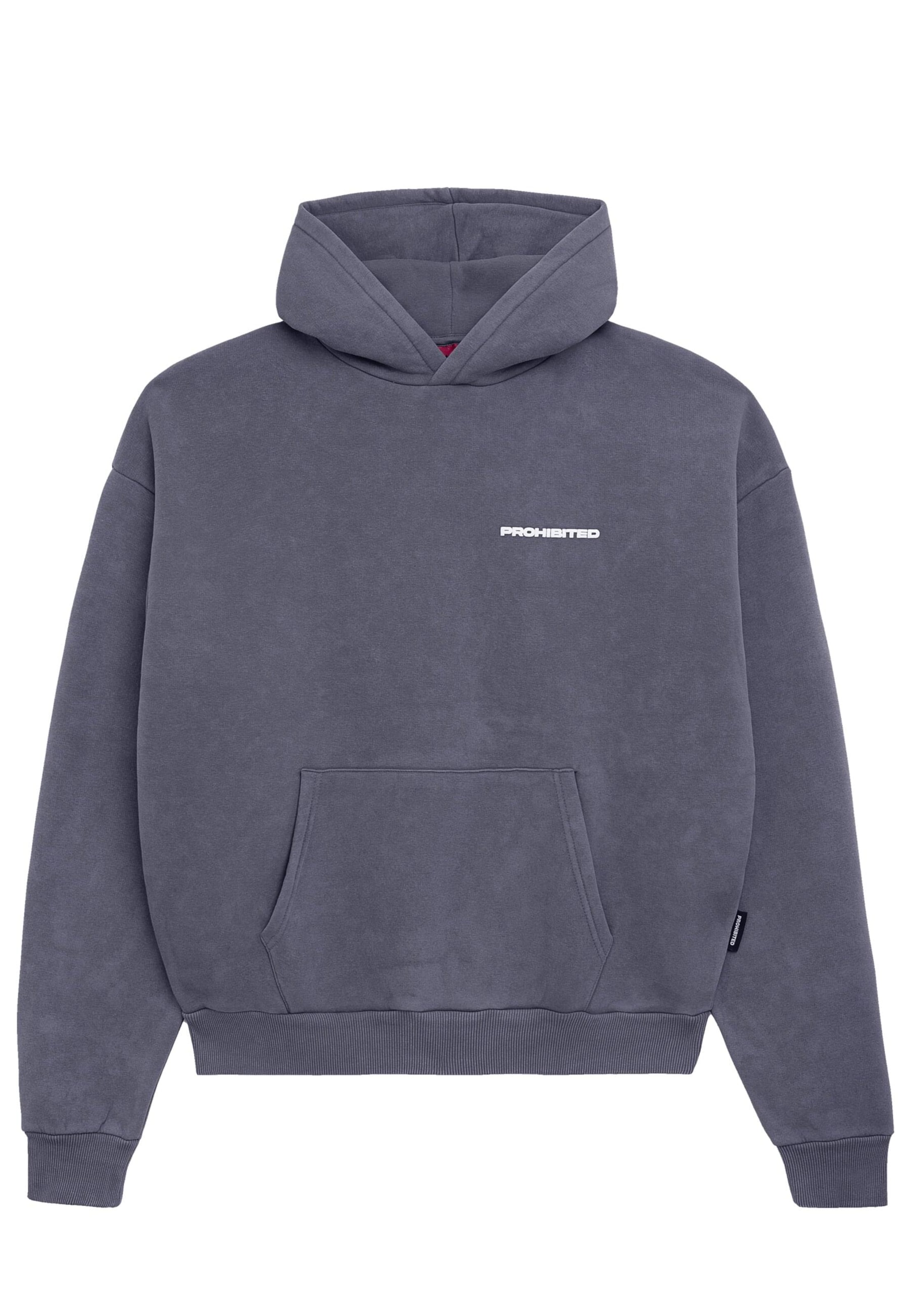 Prohibited Sweatshirt in Grey: front