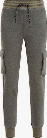 WE Fashion Slimfit Kalhoty – šedá: přední strana
