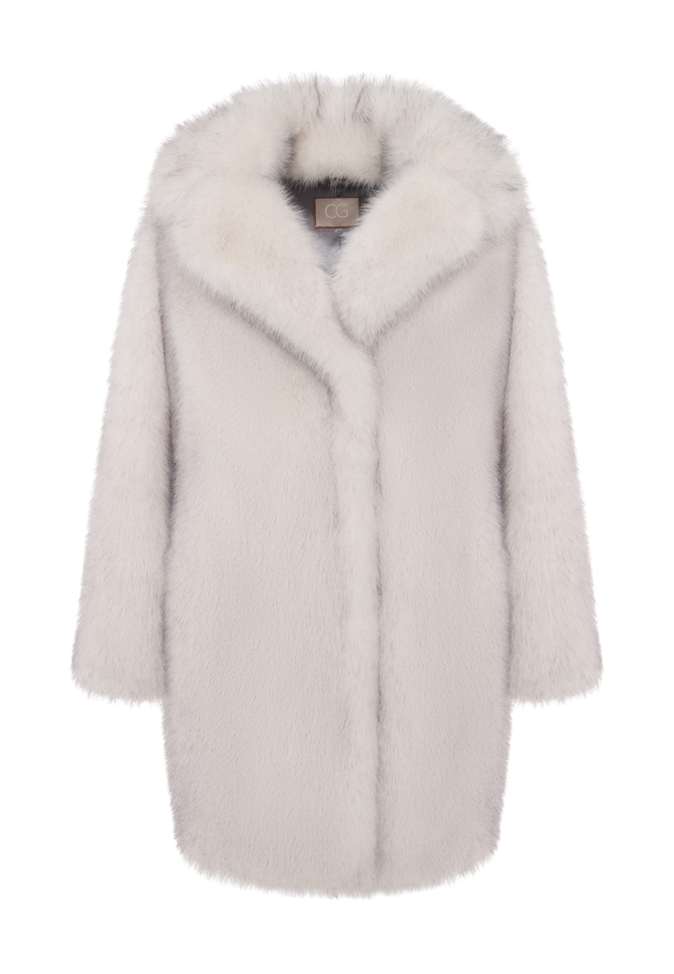 CESARE GASPARI Winter coat in Grey: front