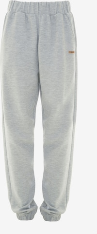 Effilé Pantalon BIG STAR en gris : devant