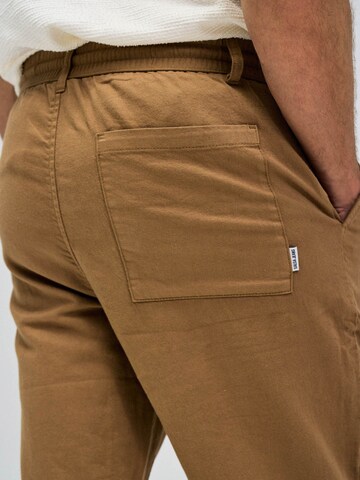 Salsa Jeans Regular Chino in Bruin