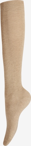 Gambaletto 'Relax Cotton' di Hudson in beige: frontale