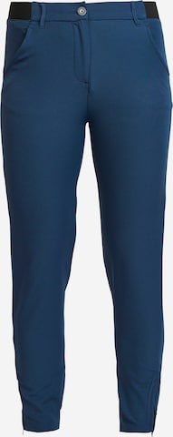 Backtee Regular Pants in Blue: front