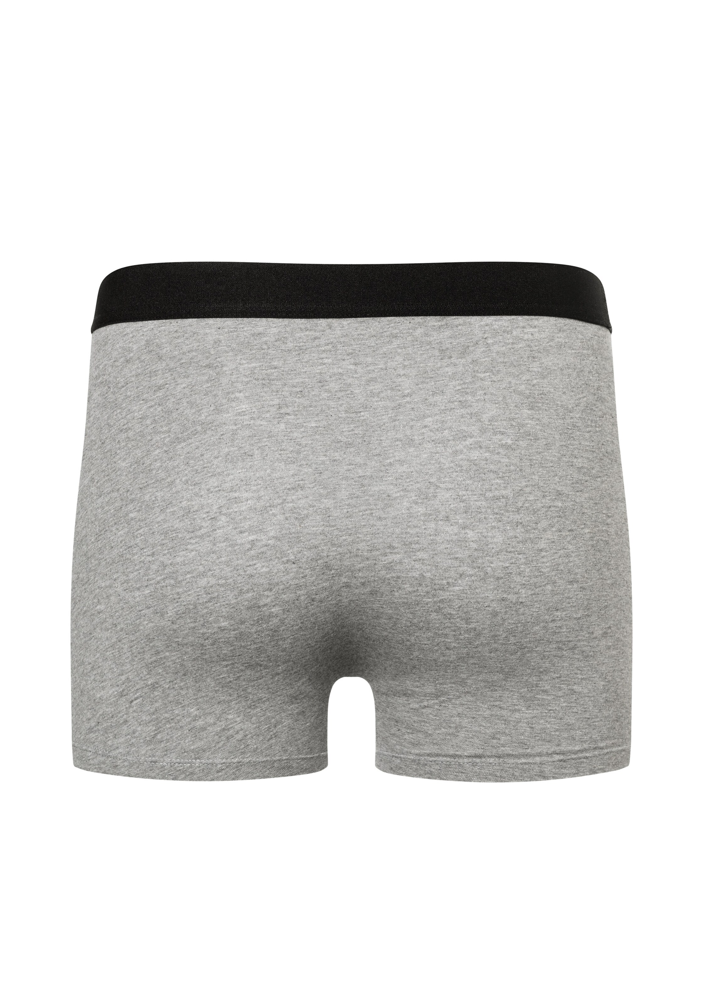 camano Boxer shorts in Grey
