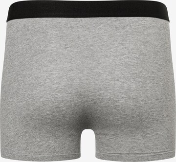 camano Boxer shorts in Grey