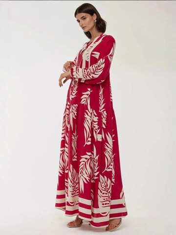 Hiccup Kleid in Rot