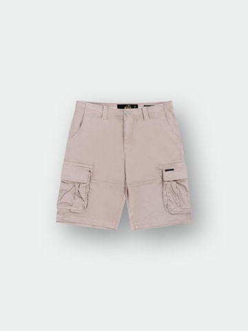 regular Pantaloni cargo di M.O.D MIRACLE OF DENIM in grigio