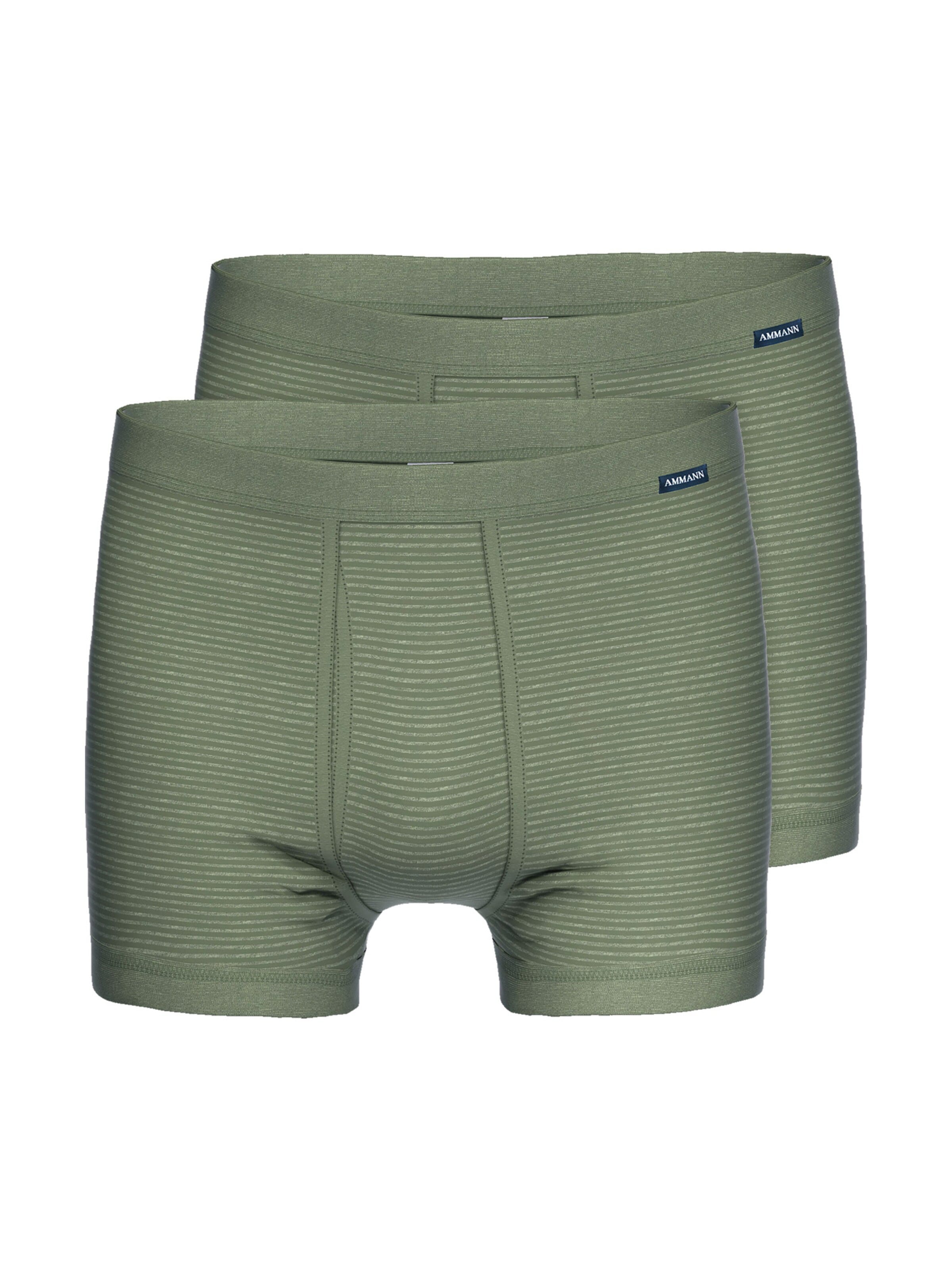 Ammann Boxer shorts 'Day Classic' in Green: front