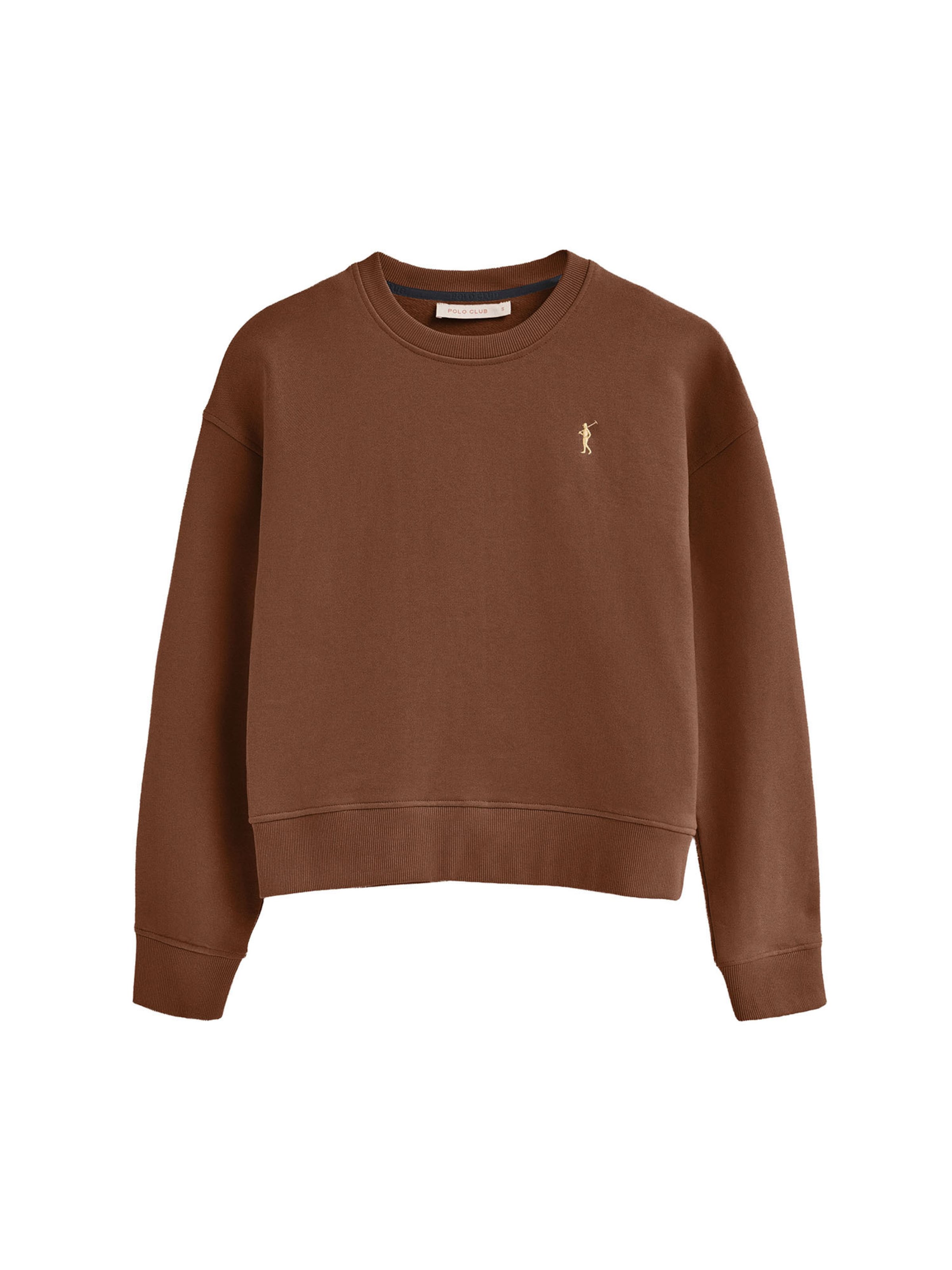 Polo Club Sweatshirt in Braun: Vorderseite