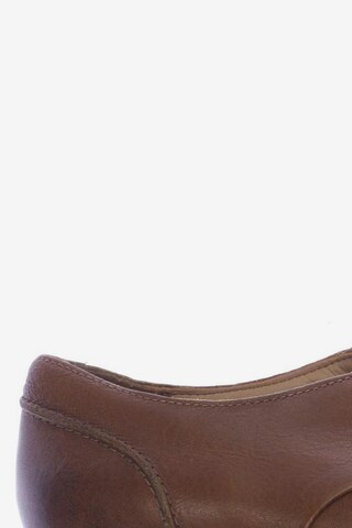CLARKS Flats & Loafers in 43 in Brown