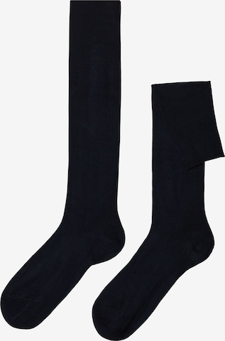 CALZEDONIA Socks in Blue: front