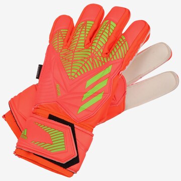 ADIDAS PERFORMANCE Athletic Gloves 'Predator Edge' in Orange