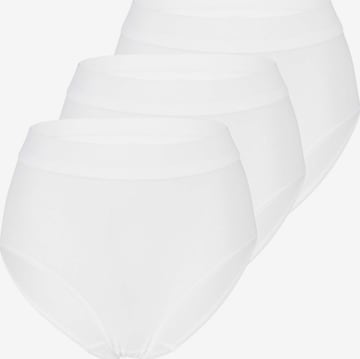 SPEIDEL Slip 'bio.cotton Plus' in White: front