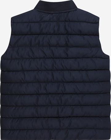 s.Oliver Bodywarmer in Blauw