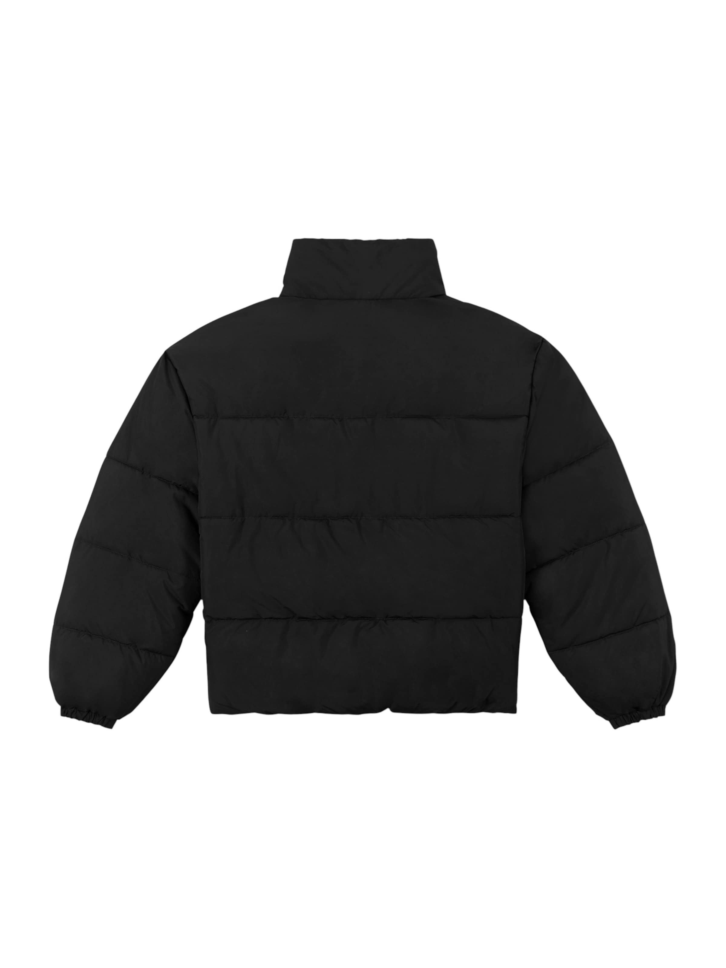 FILA Winter Jacket 'Cimone' in Black