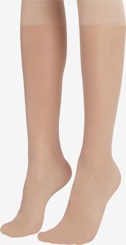 CALZEDONIA Kniestrümpfe in Beige: predná strana