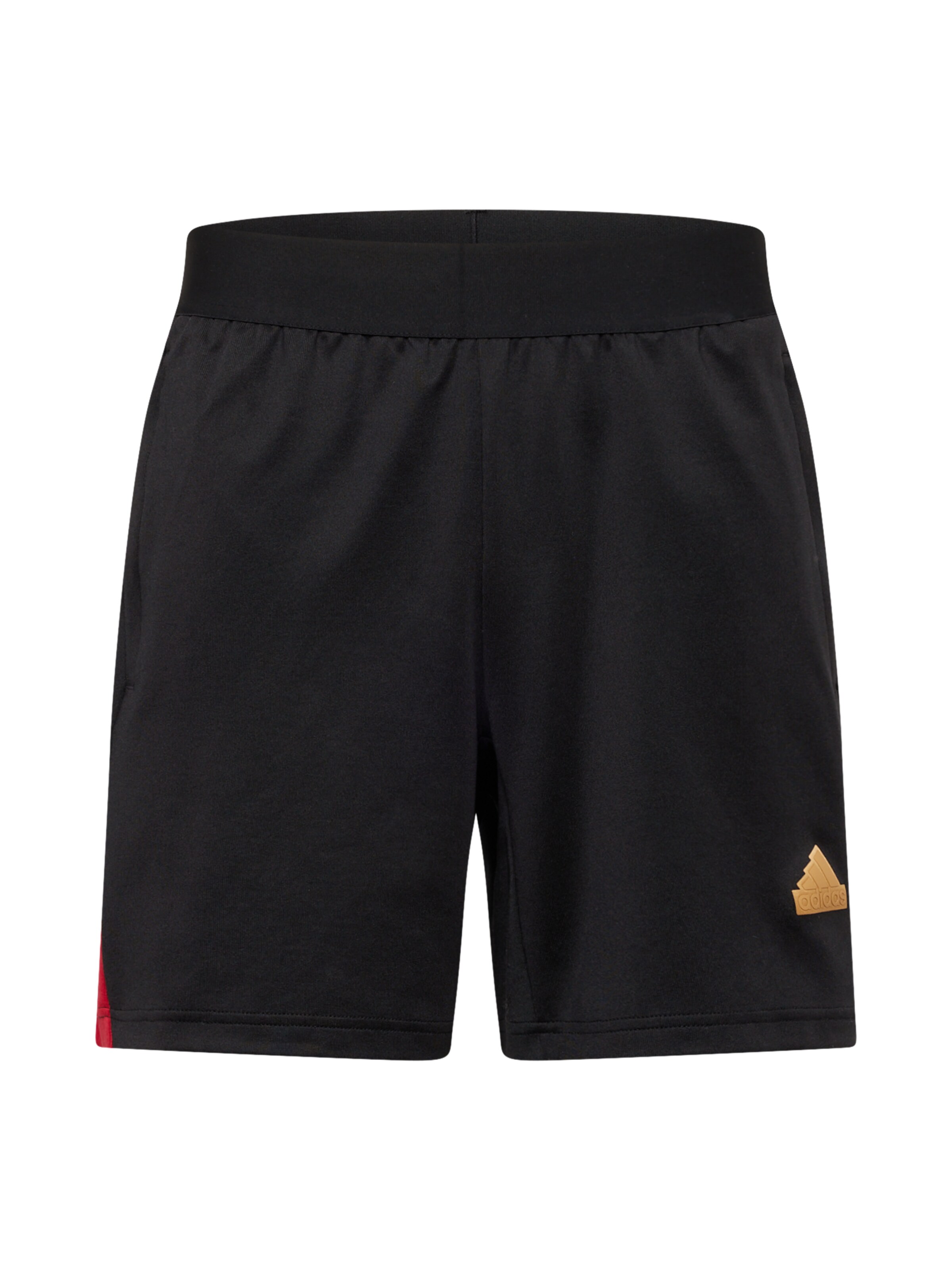 Pantaloni sportivi 'Tiro' di ADIDAS SPORTSWEAR in nero: frontale