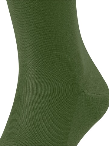 FALKE Knee High Socks 'Tiago' in Green