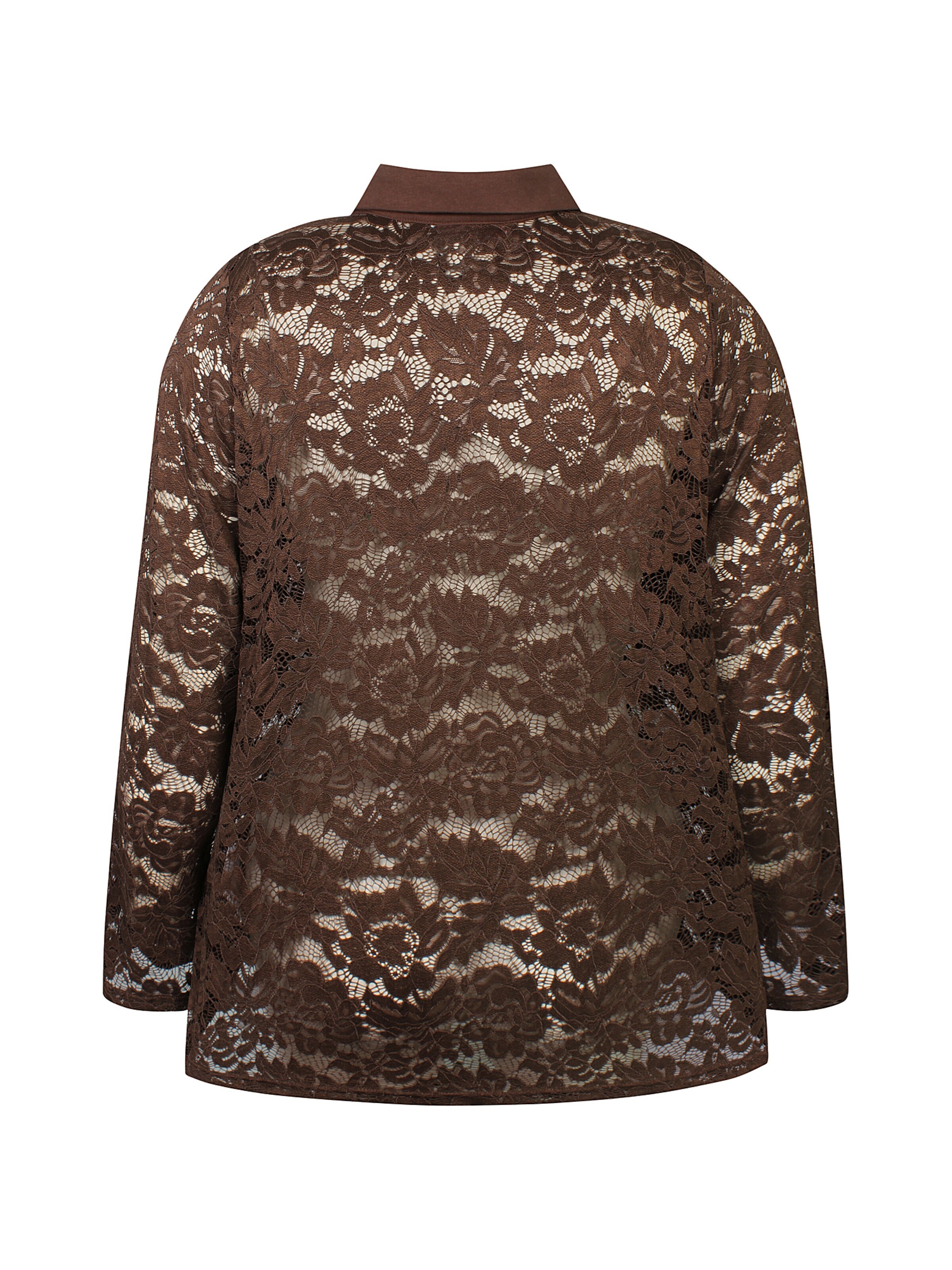 Anyday Shirt 'Teresia 481' in Brown