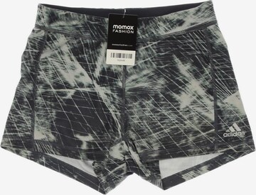 ADIDAS PERFORMANCE Shorts in XS in Grey: front