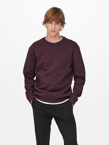 Only & Sons Regular fit Sweatshirt 'Ceres' i lila: framsida