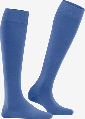FALKE Knee High Socks 'Softmerino' in Blue: front