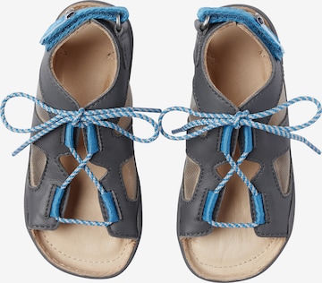 Affenzahn Sandals 'HUND' in Grey