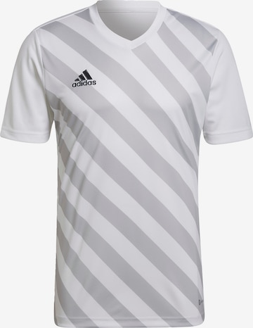 ADIDAS SPORTSWEAR Performance Shirt 'Entrada 22' in Grey: front