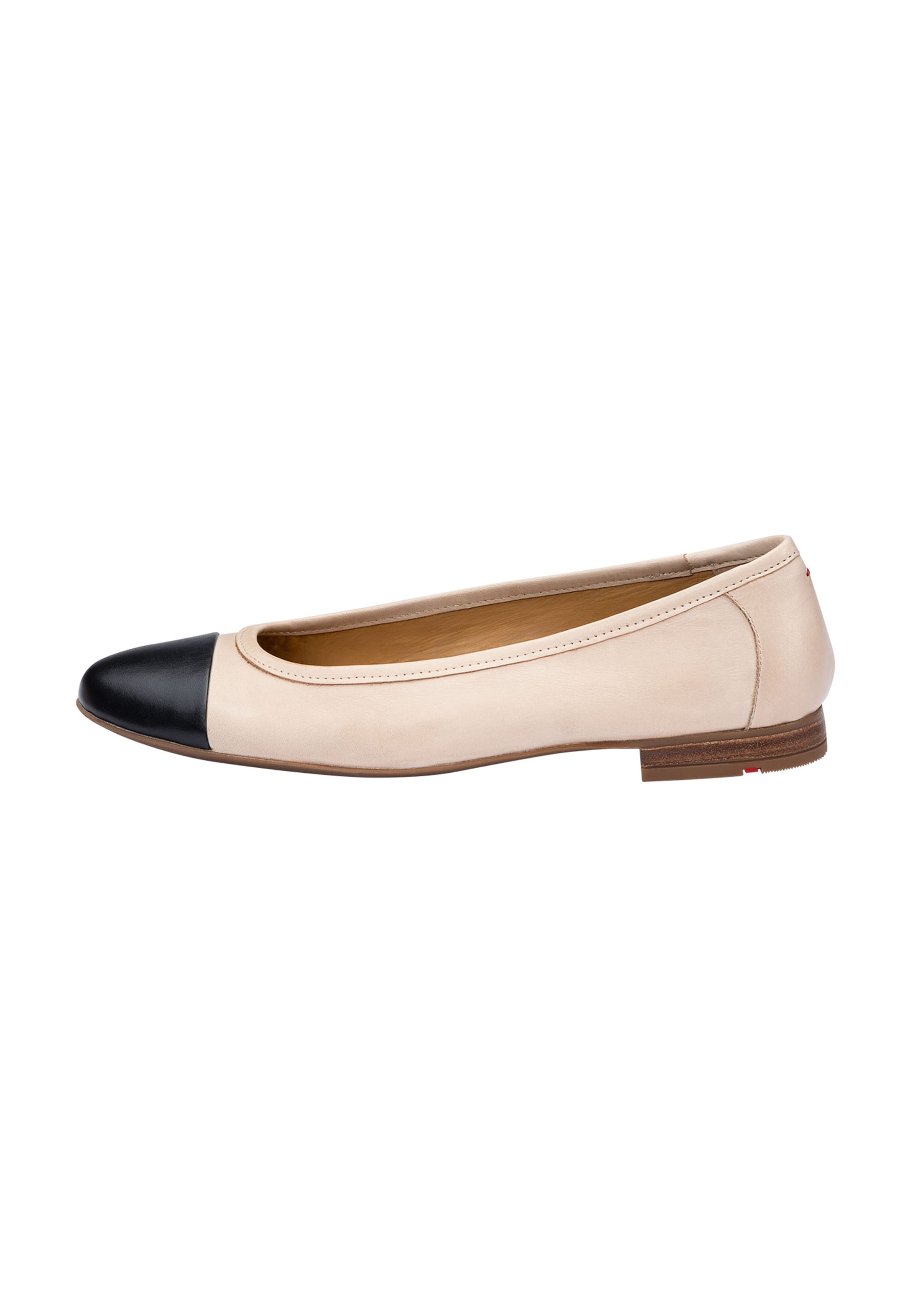 Ballerina di LLOYD in beige: frontale
