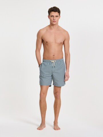 Shorts de bain 'Mike' Shiwi en vert