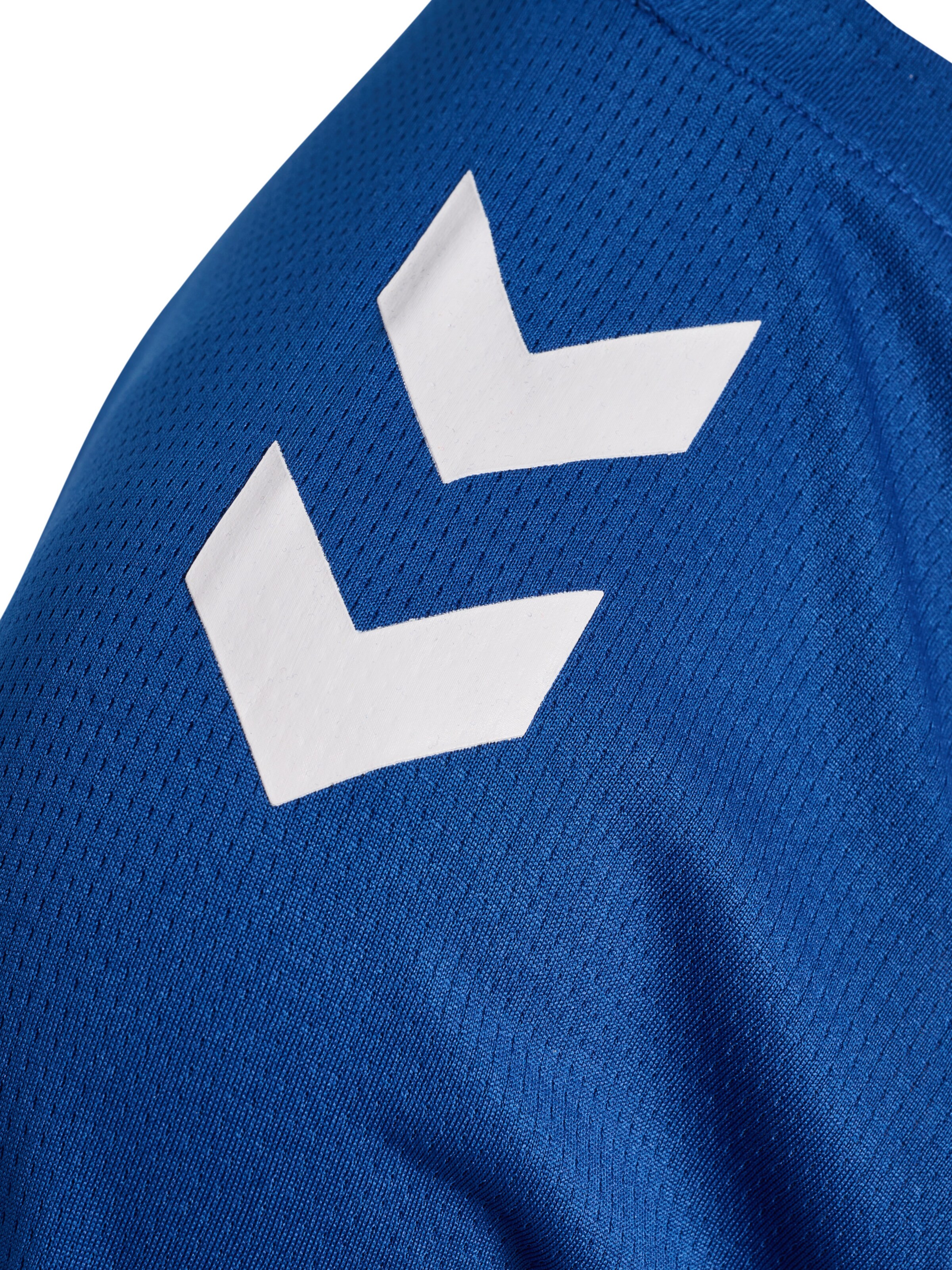 Hummel Sportshirt 'Lead 2.0' in Blau