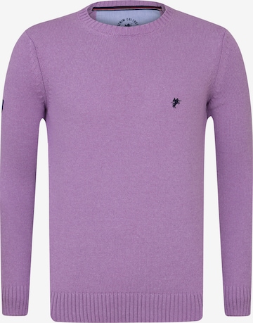 DENIM CULTURE Sweater 'Brian' in Purple: front