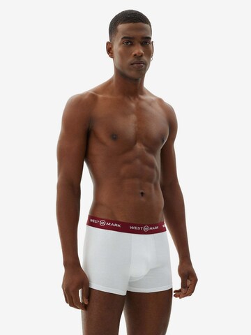 WESTMARK LONDON Boxer shorts in Mixed colors: front