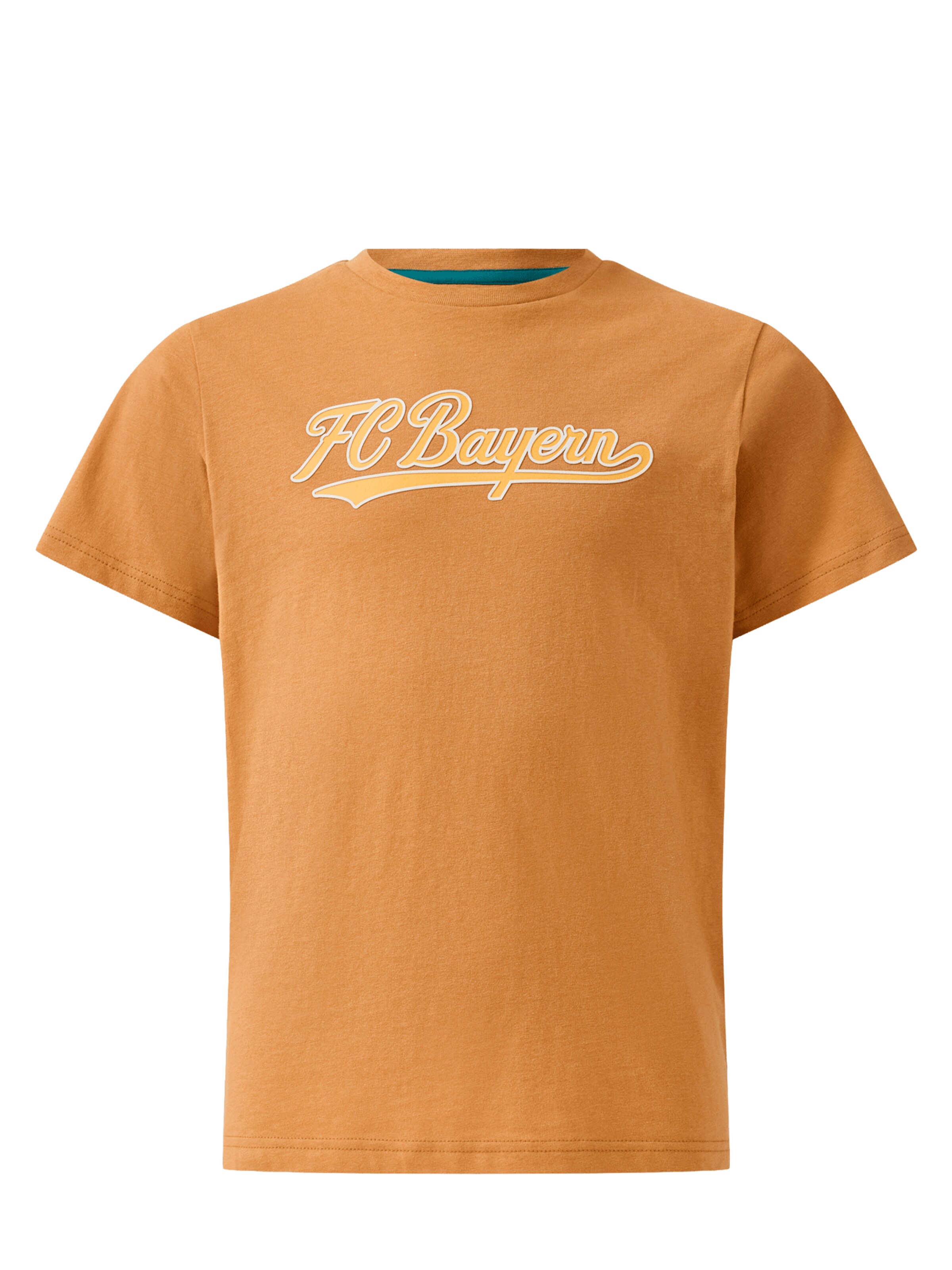 FC BAYERN MÜNCHEN Shirt in Brown: front