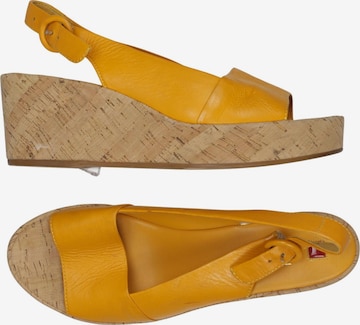 Högl Sandalen 40,5 in Orange: Vorderseite