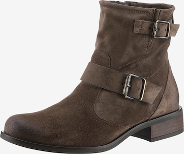 Paul Green Boots in Braun: Vorderseite