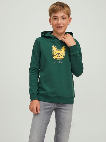 Jack & Jones Junior Collegepaita värissä vihreä: edessä